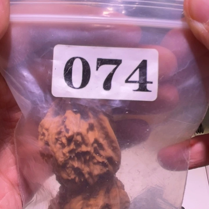 M****吊坠文玩核桃074野生