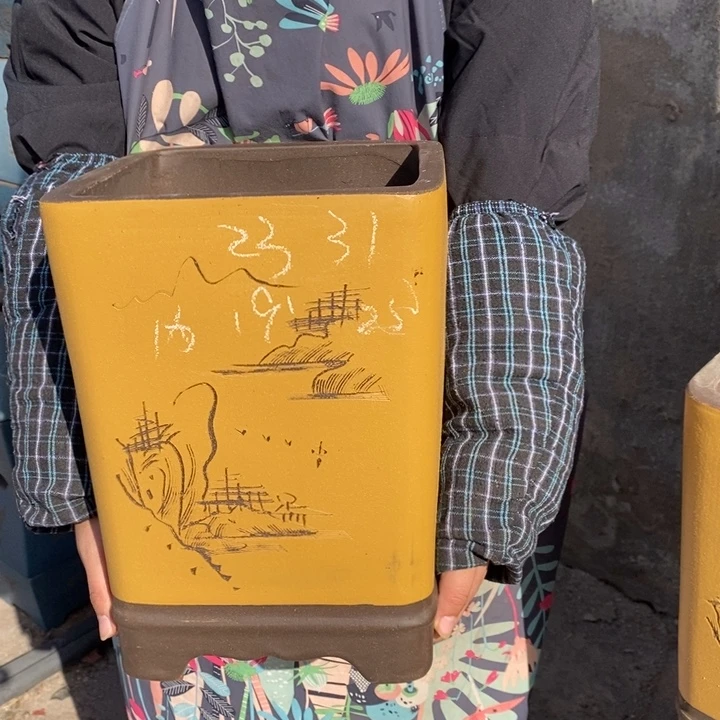 紫砂花盆只顾看手机的小