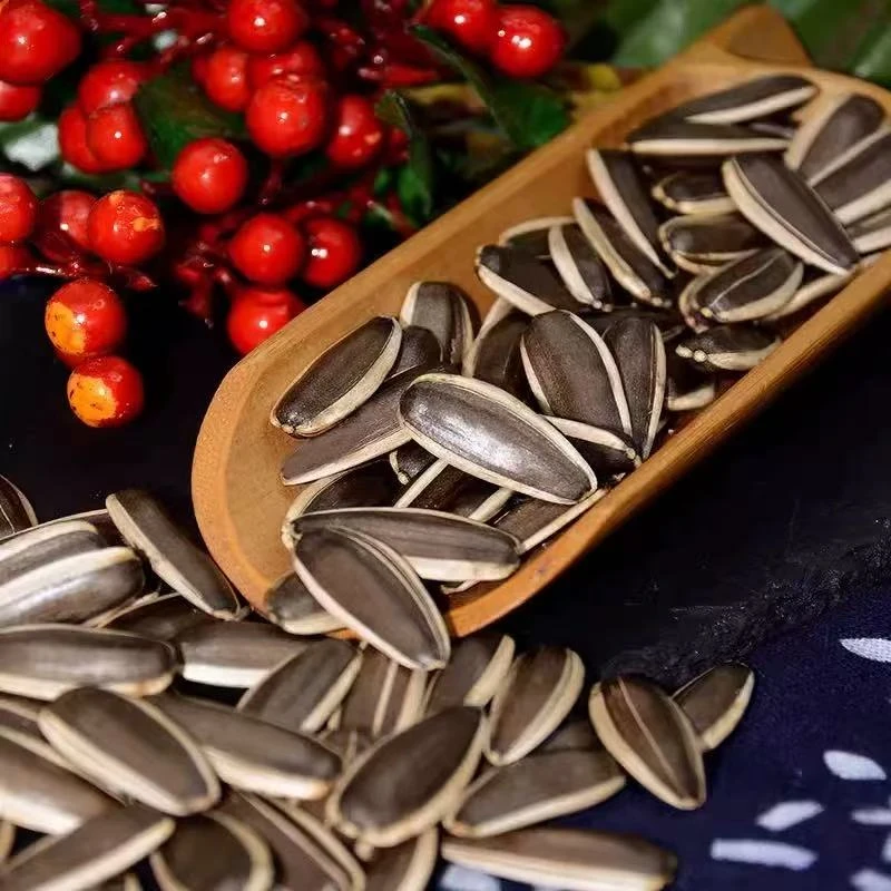 生瓜子 内蒙古大颗粒葵花籽（买三斤送一斤）