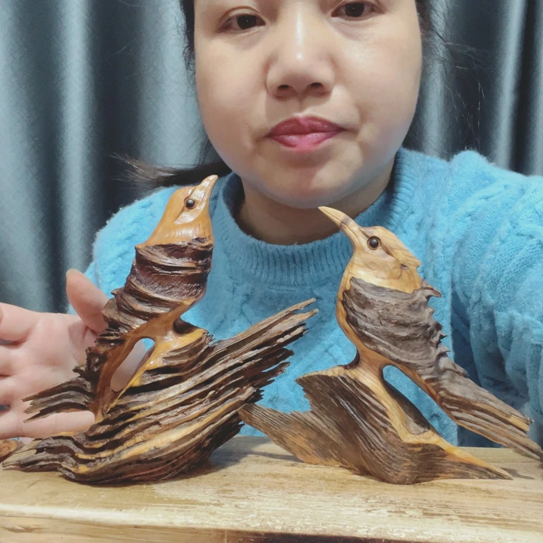 海****?百年树的生长环境