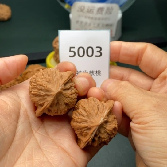 把件文玩核桃38.5公子帽5003