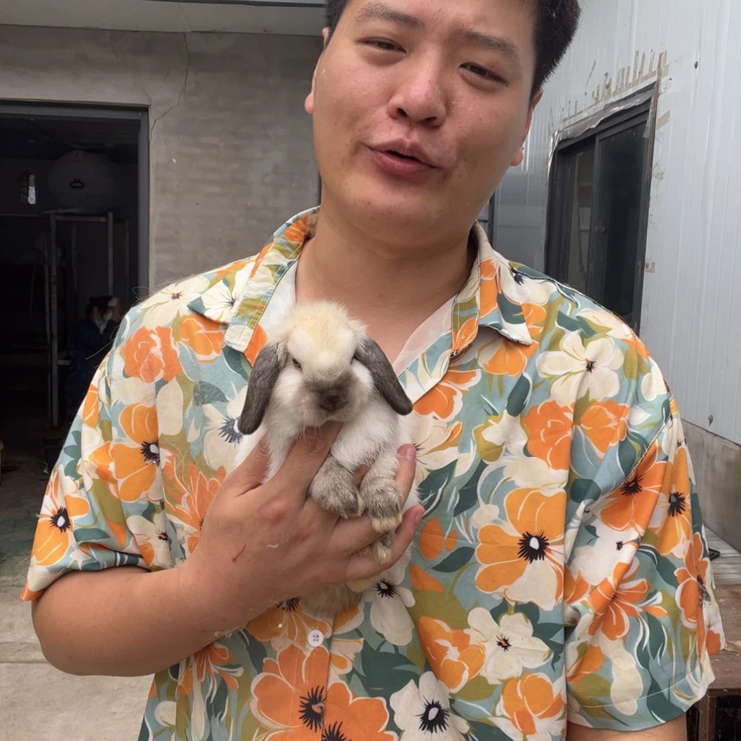 泡***安1111111111111宠物