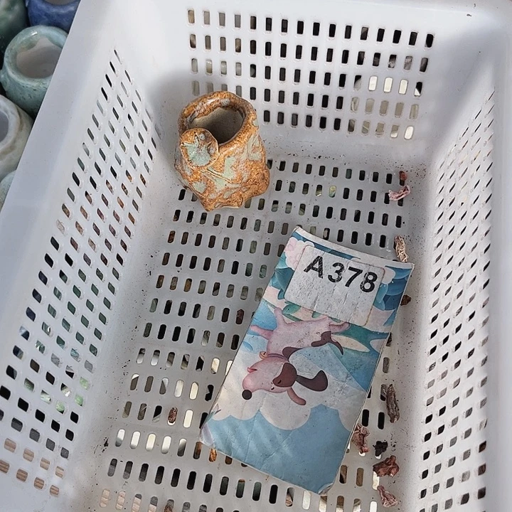 丹*378名密密麻麻你们呢