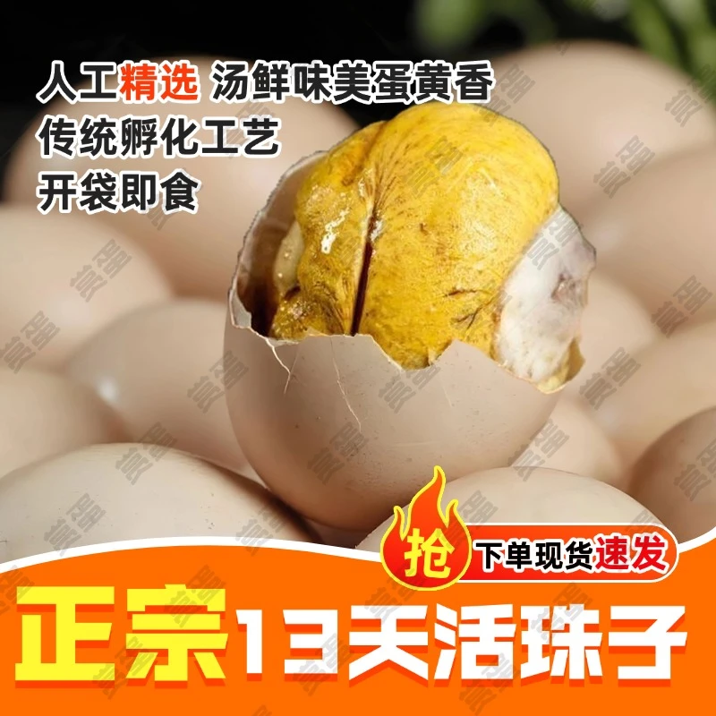 赏蛋-1正宗活珠子新鲜孵化13天五香开袋即食香辣味钢化蛋鸡胚蛋