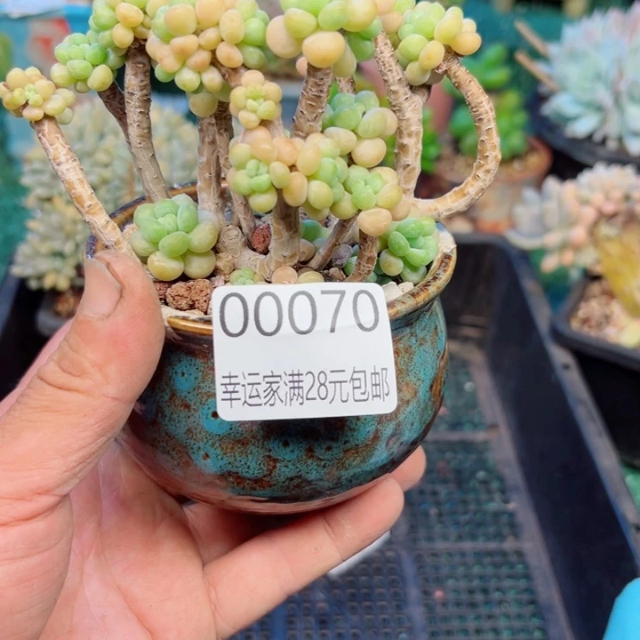 幸运的是我还没遇到