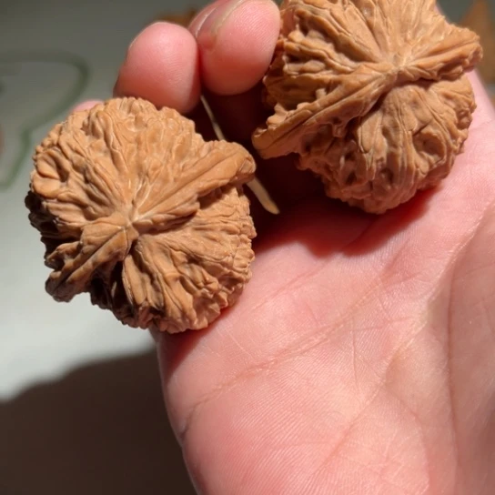 吊坠文玩核桃白狮子41