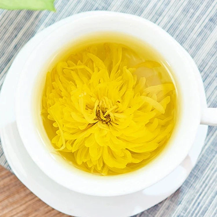 【金丝皇菊】一朵一大杯