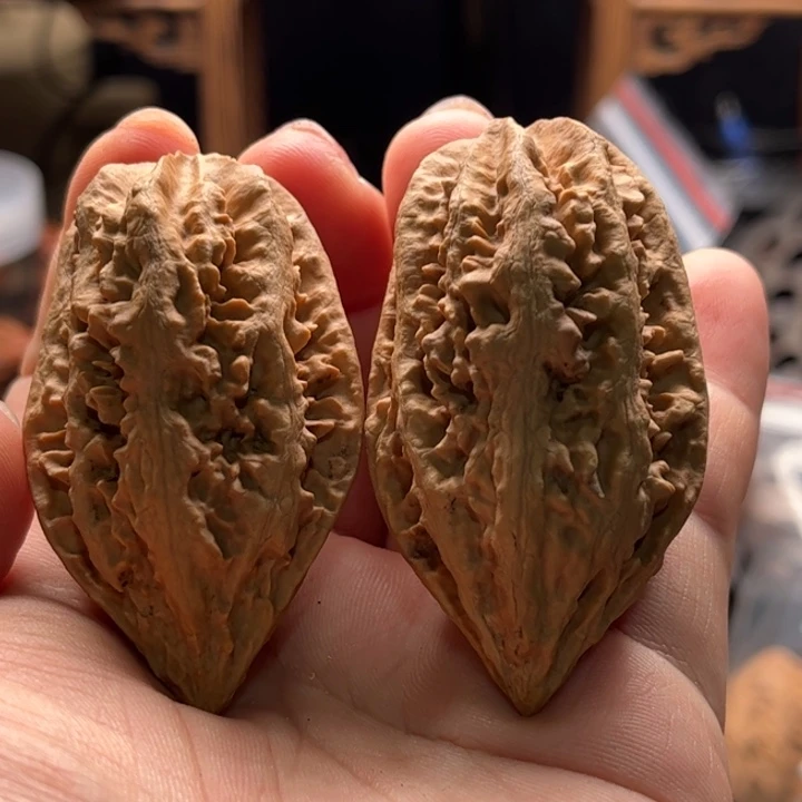 文玩核桃把件楸大胖59