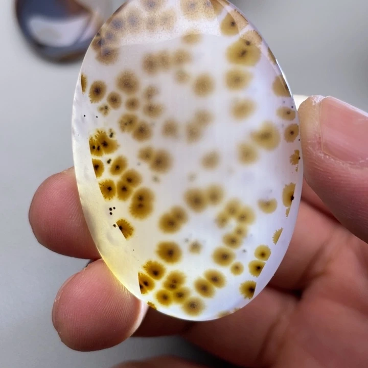 玛瑙/玉髓玉牌未镶嵌?***木