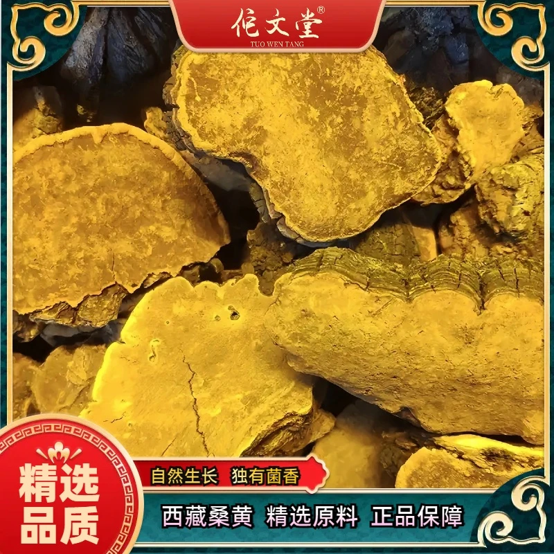 桑黄 老树桑黄 甄选大块精挑细选 净重250克