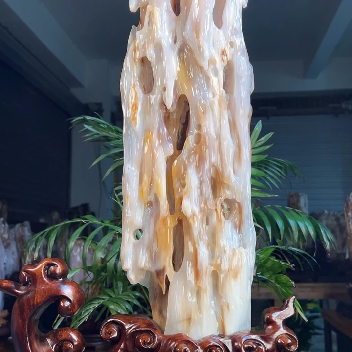 硅化玉（树化玉）未镶嵌珠宝奇石