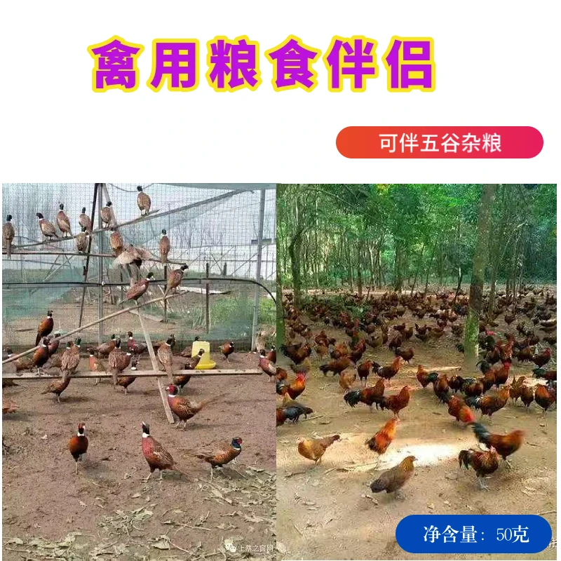 禽用五谷杂粮伴侣营养好更健康睡的香