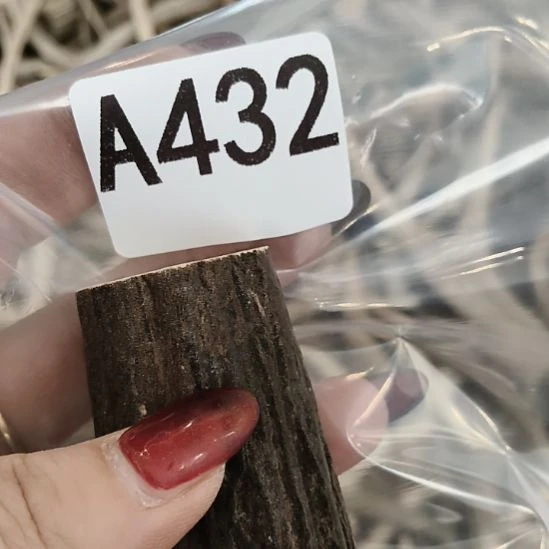 画***人鹿角鹿角鹿角鹿角鹿角