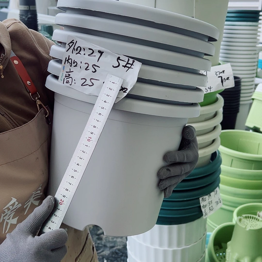 四季盆5#灰白色6个无托