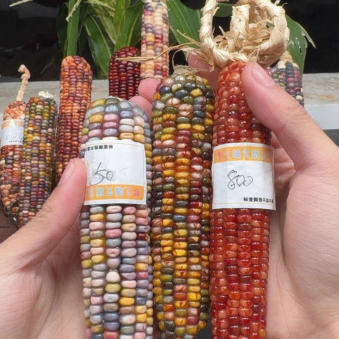 爱***长柏香籽/百香籽吊坠