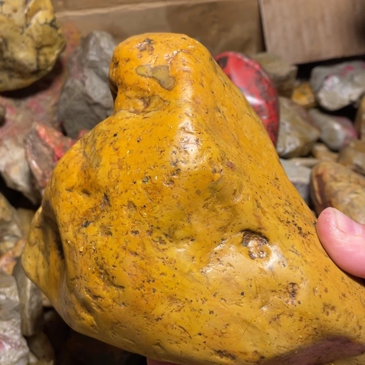 田黄石2705克昌化田黄石