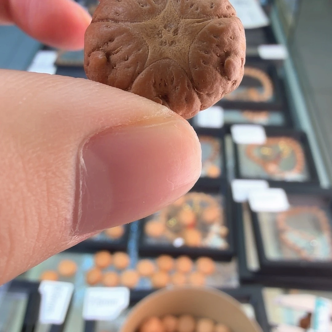 凤眼菩提吊坠3373