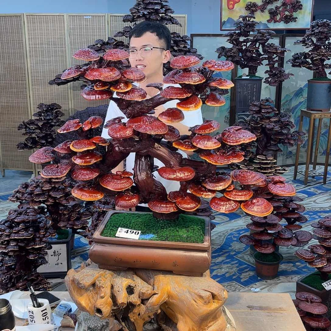 无花朵888888888888888888