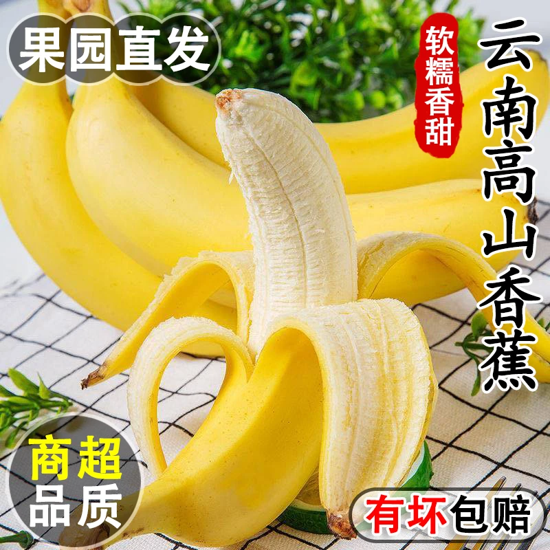 【Q2】云南高山甜香蕉新鲜水果当季现摘芭蕉小米蕉大香焦自然熟包邮