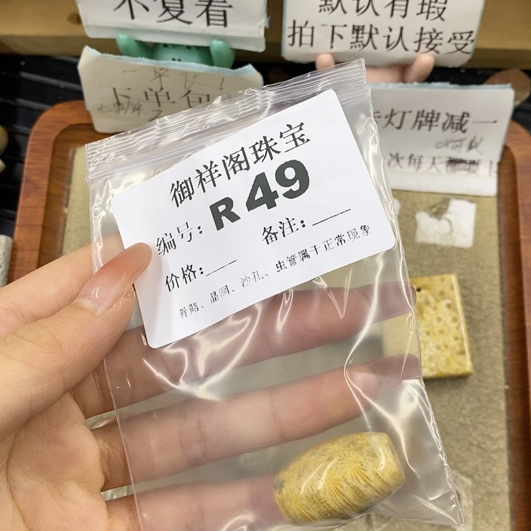 硅化珊瑚（珊瑚玉）未镶嵌颈饰不**夜