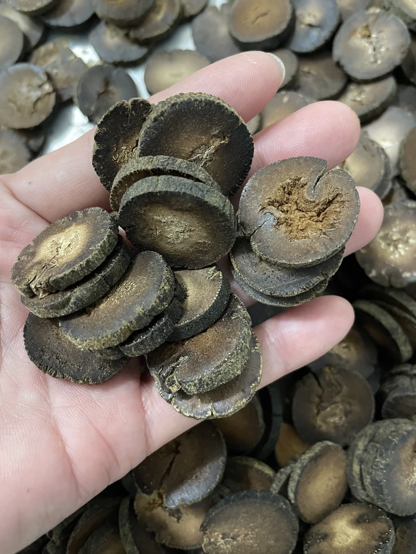 正宗化橘红正毛胎果切片