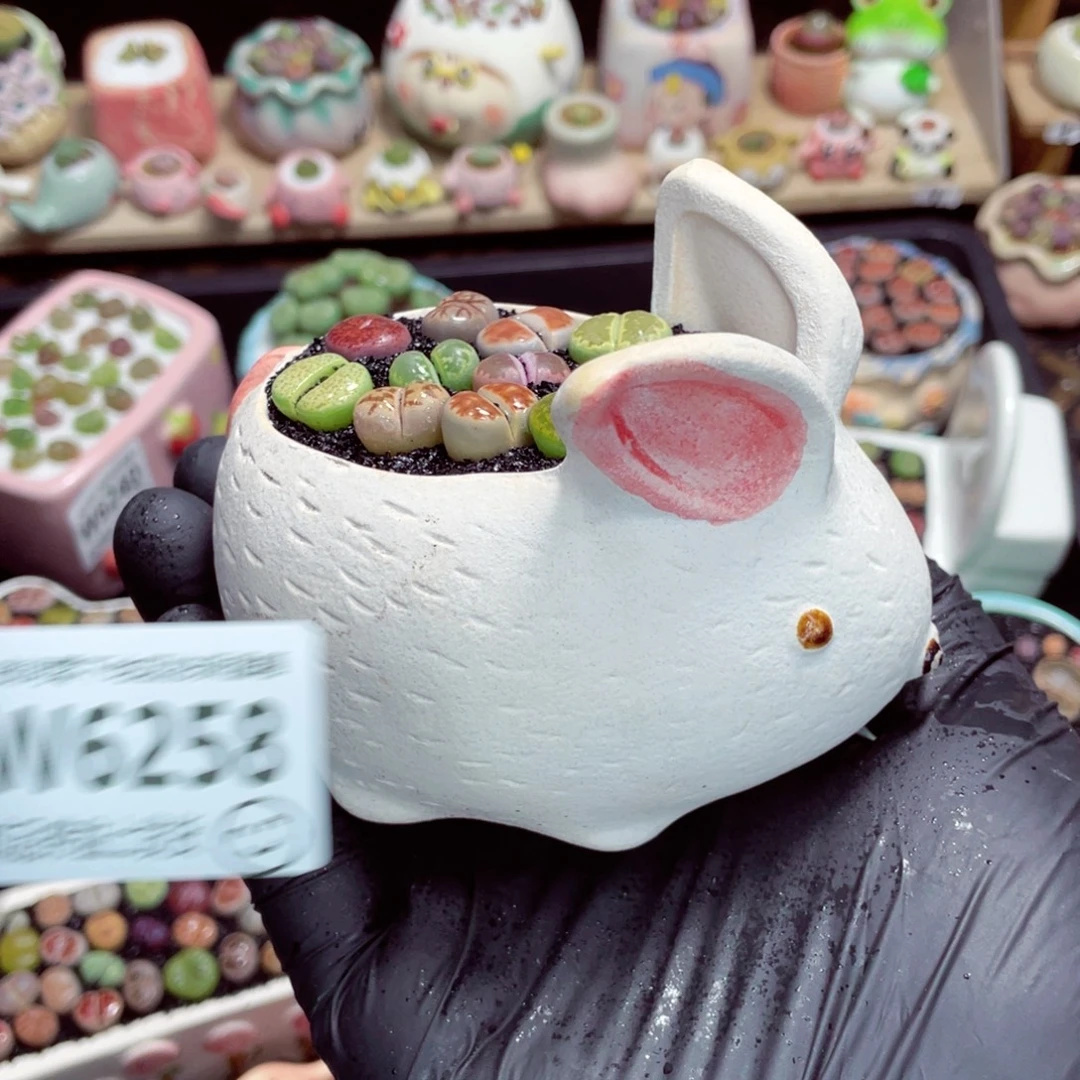 夜间零下地区拍保温箱w6258