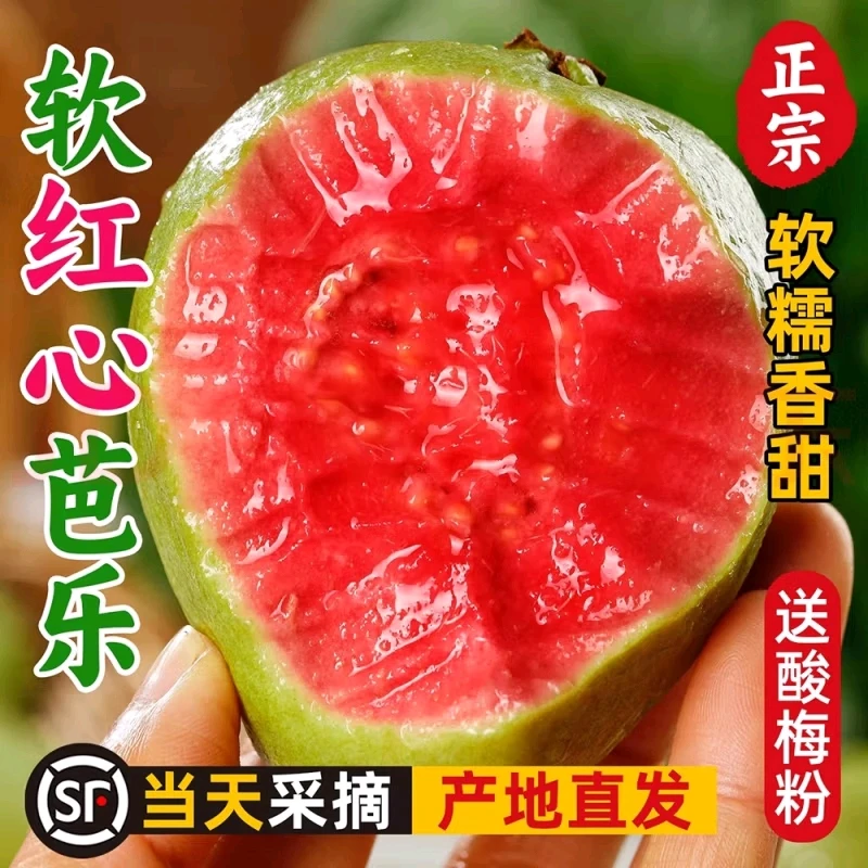 福建软糯红白心土芭乐孕妇低糖胭脂红软籽番石榴水果新鲜顺丰包邮