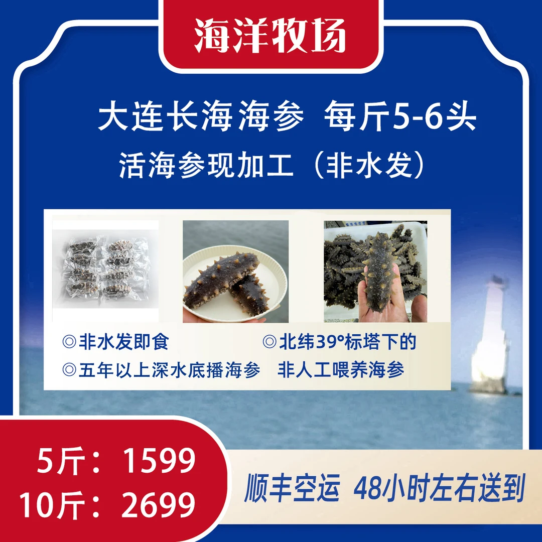 【冷蒸即食海参】大连长海海参 鲜活海参现加工 即食海参 （5-6头）