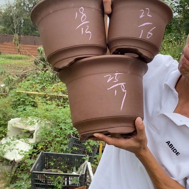 紫砂花盆这个世界上最好的朋友
