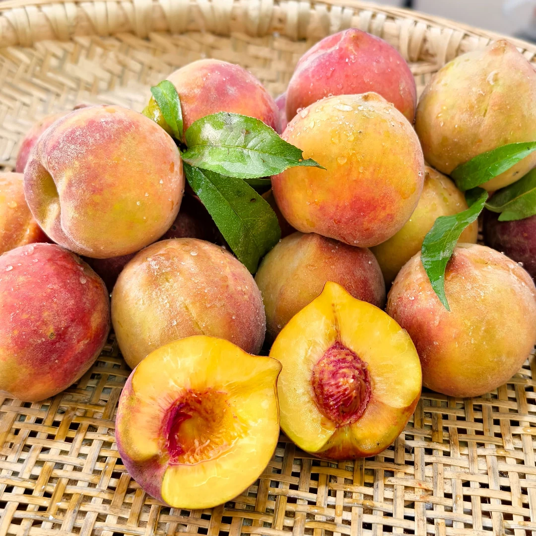 <大龙站闻小康>湖南常德高山农家自种锦园黄桃新鲜脆甜现摘现发