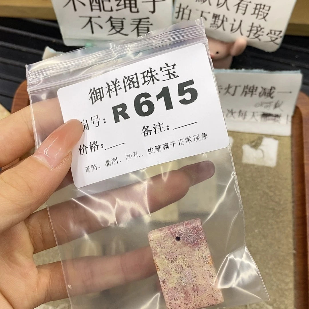 硅化珊瑚（珊瑚玉）未镶嵌颈饰窦*米