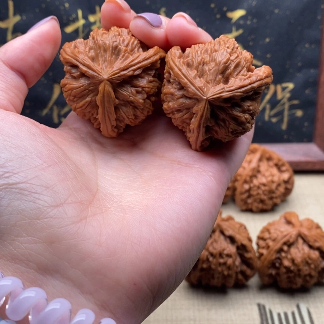 塔****森白狮子11111111