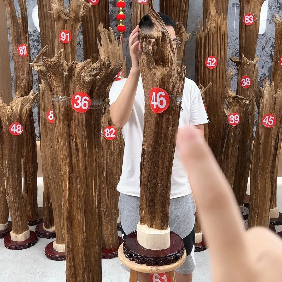 沉香沉香碎屑天然沉香原材料