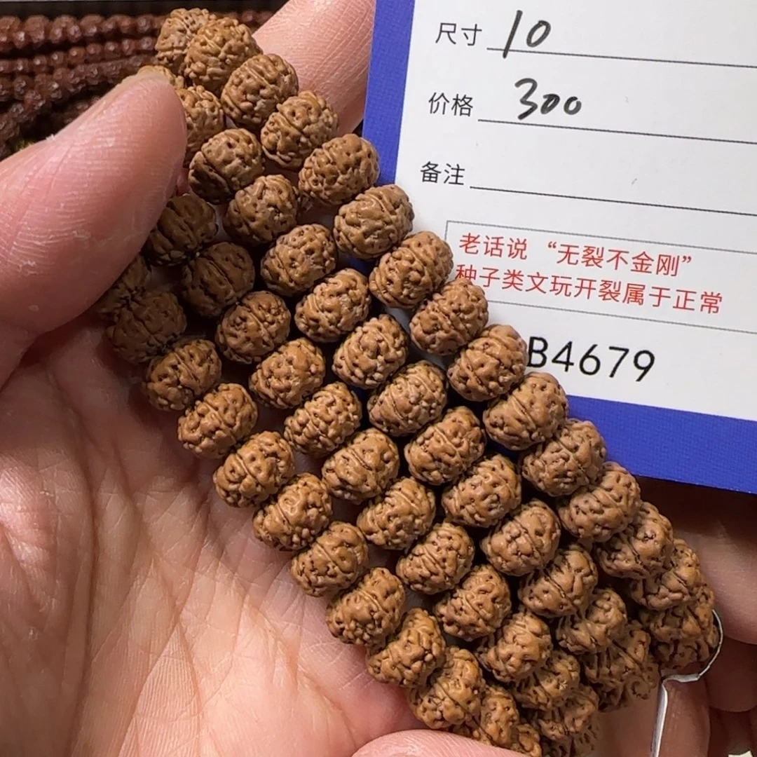 金刚菩提吊坠树王籽