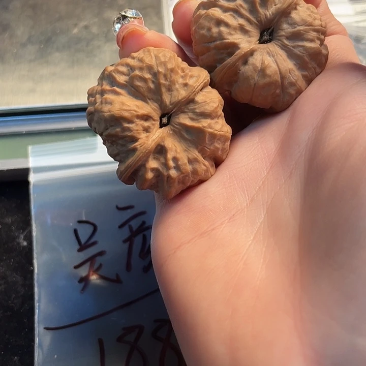 大叶紫檀（黑酸枝木类）