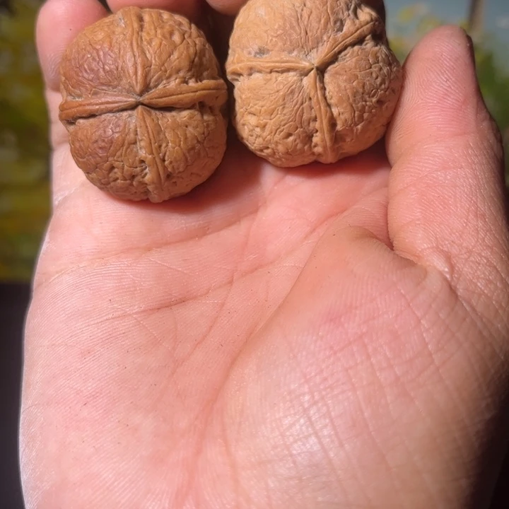 虎***卷文玩核桃吊坠滇西37