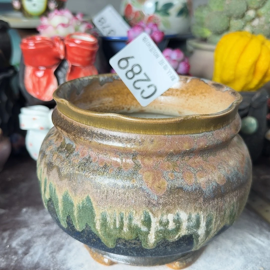 重庆小燕子欢迎大家289
