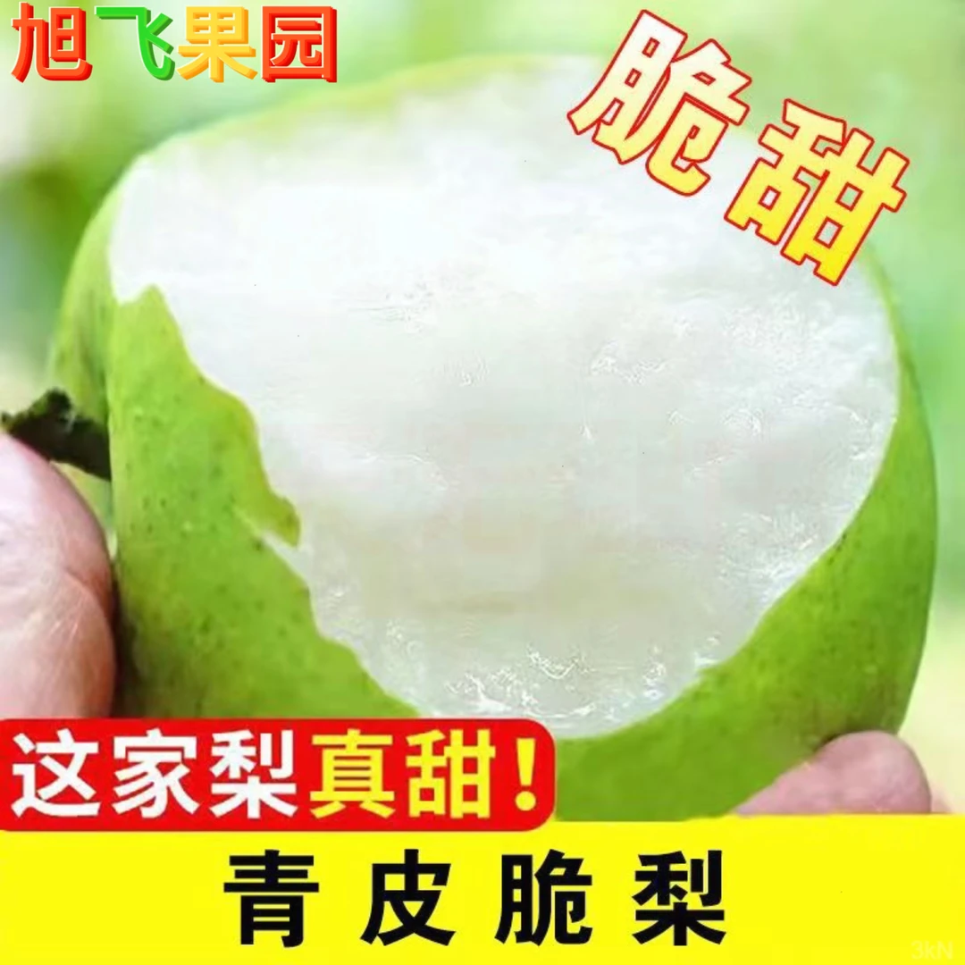 砀山青皮蜜梨翠冠梨纯甜2025新果当季新鲜水果果园整箱5/9斤直发
