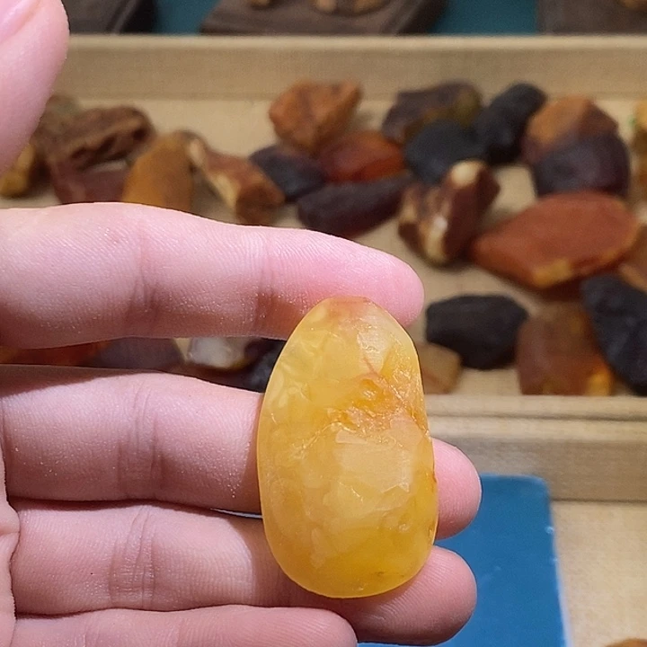 裸石琥珀未镶嵌黄白花