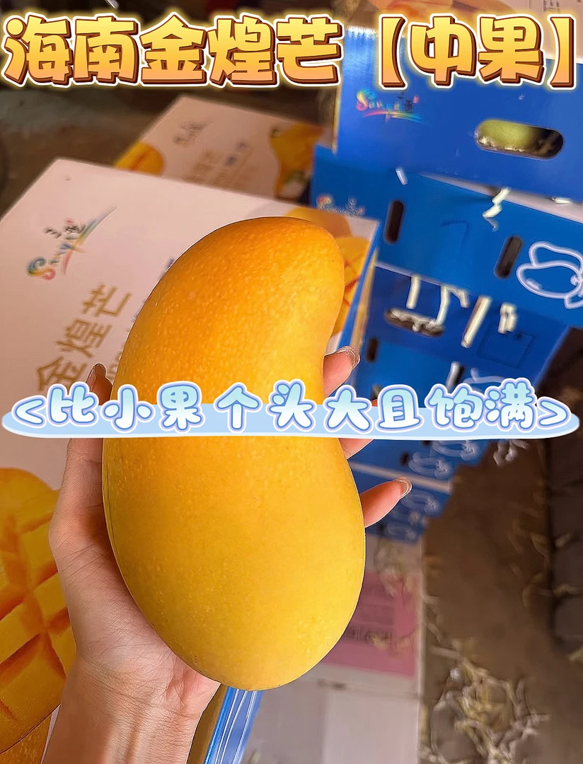 中果[礼盒装]海南金煌芒产地直发新鲜现摘现发香甜软糯包邮到家