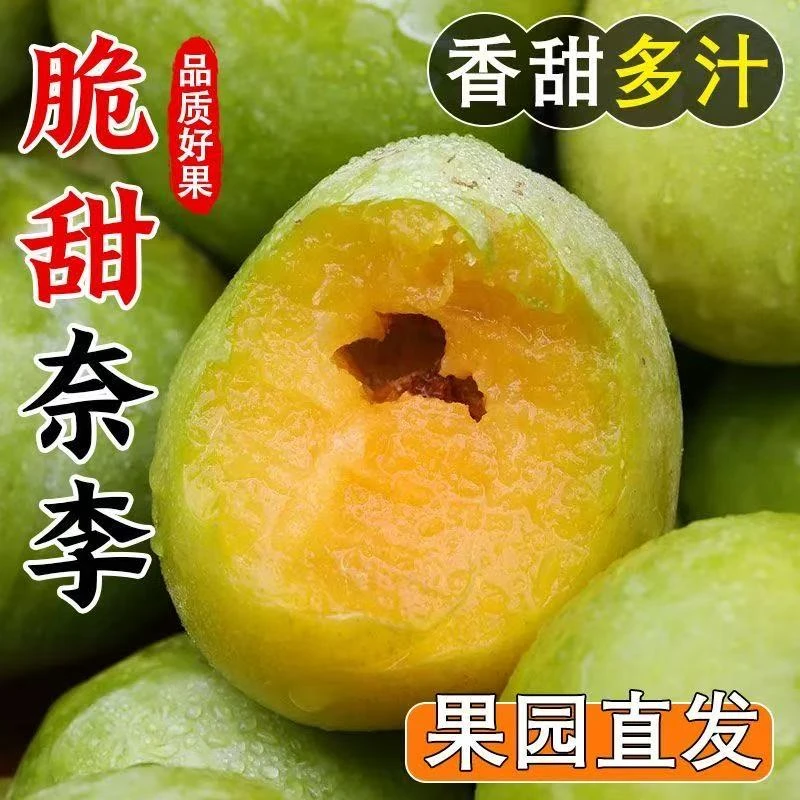 正宗新鲜油奈李脆甜果园直发新鲜应季水果孕妇