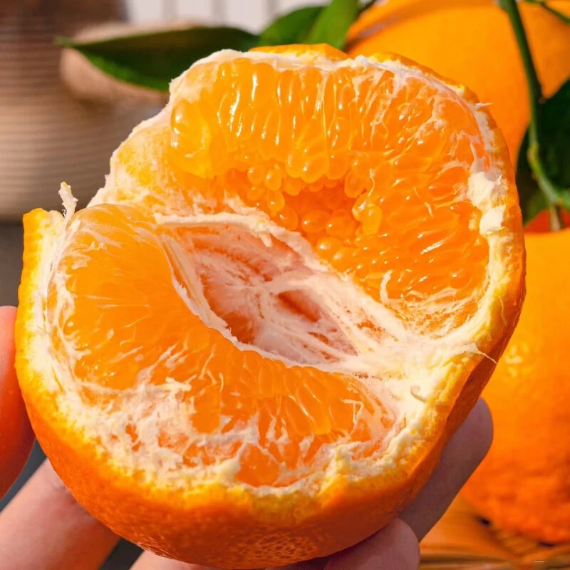 顺丰四川春见粑粑柑爆浆耙耙柑新鲜当季柑橘孕妇水果整箱柑橘礼盒