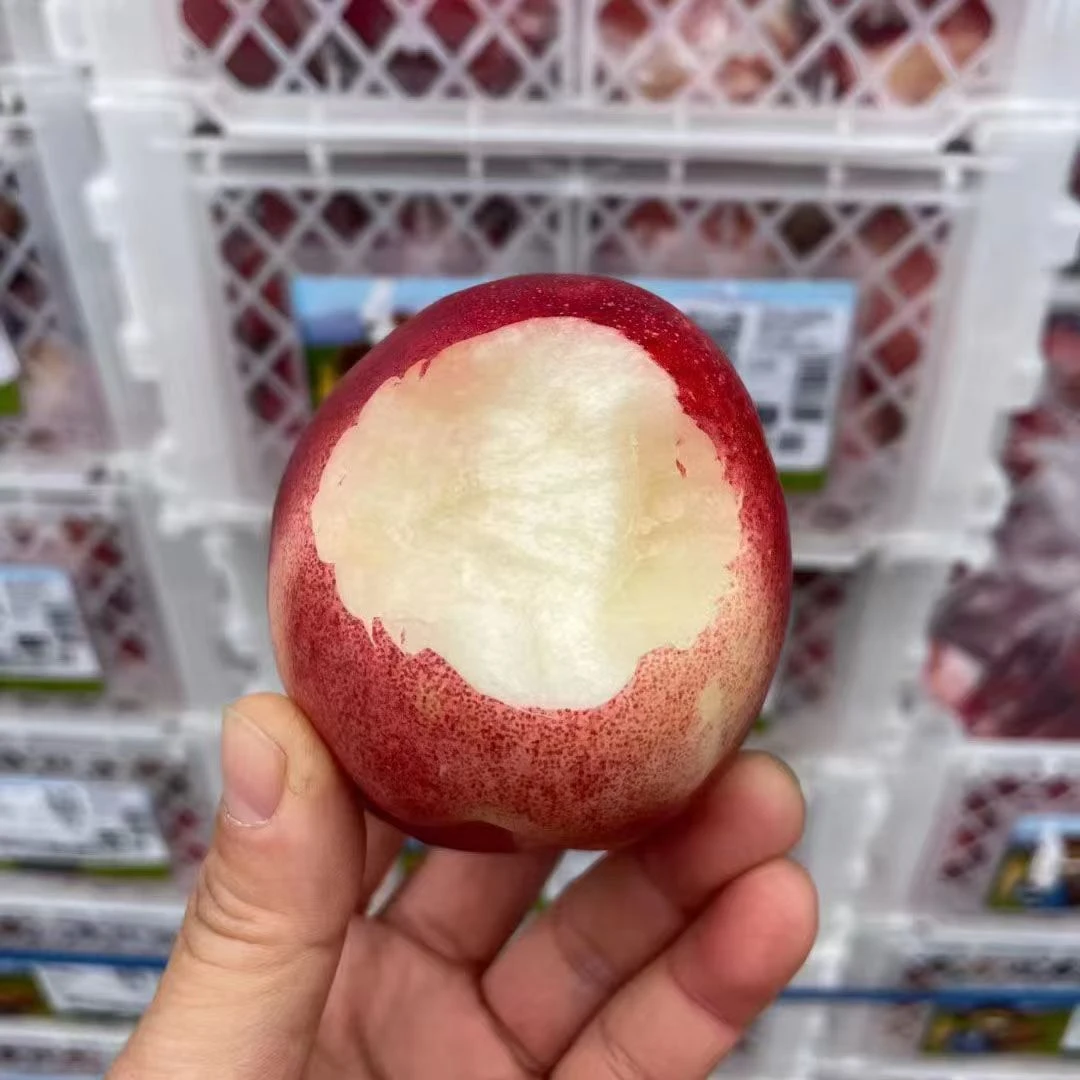 快乐专属【同城次日达】吉制白油桃 纯甜 4斤±0.3 顺丰包邮