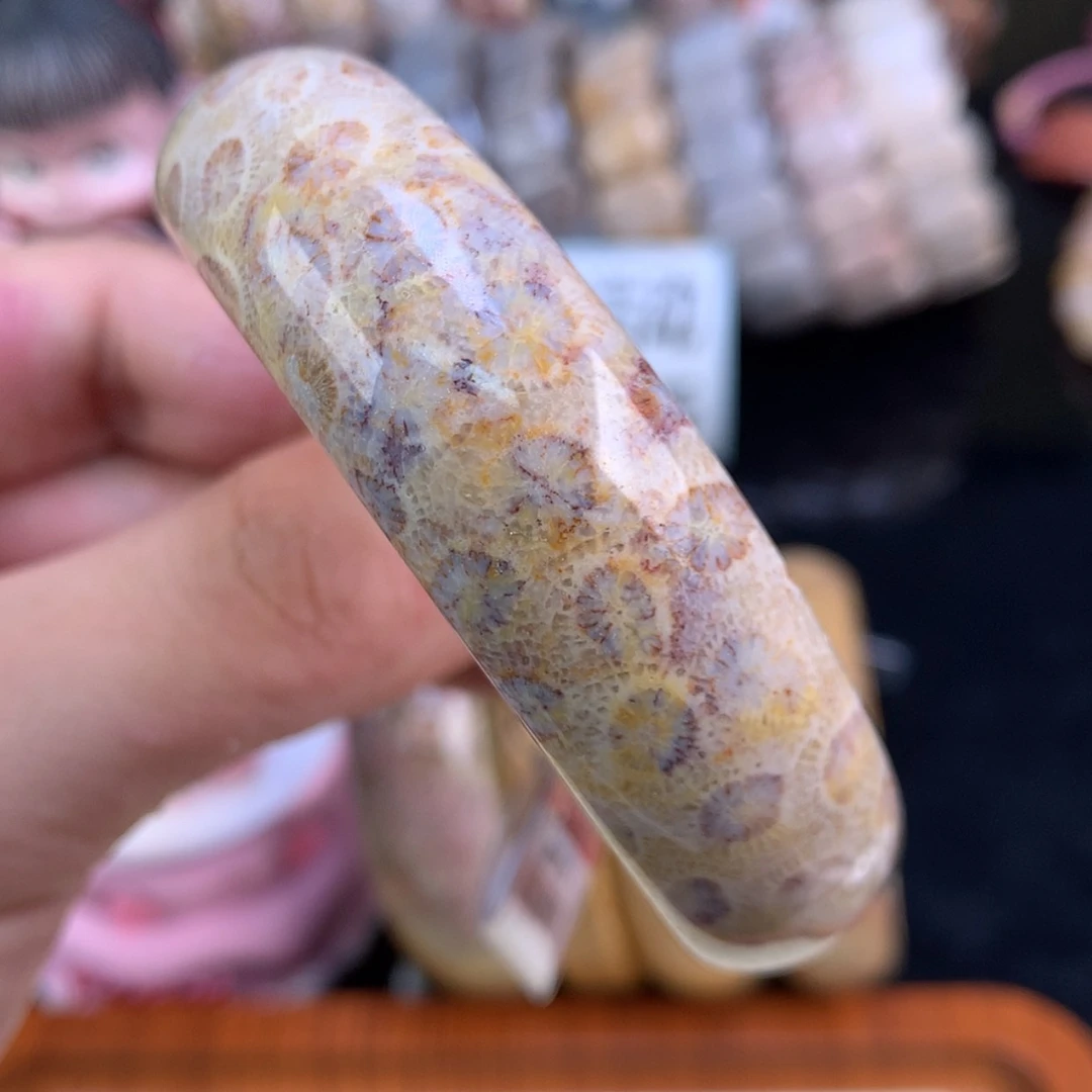 【闪购商品】颈饰未镶嵌硅化珊瑚（珊瑚玉）19号56.9圈花心带彩