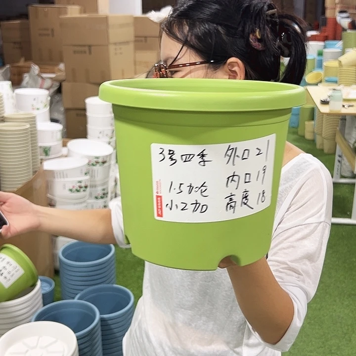 特价3号四季口21高18果绿10只无托