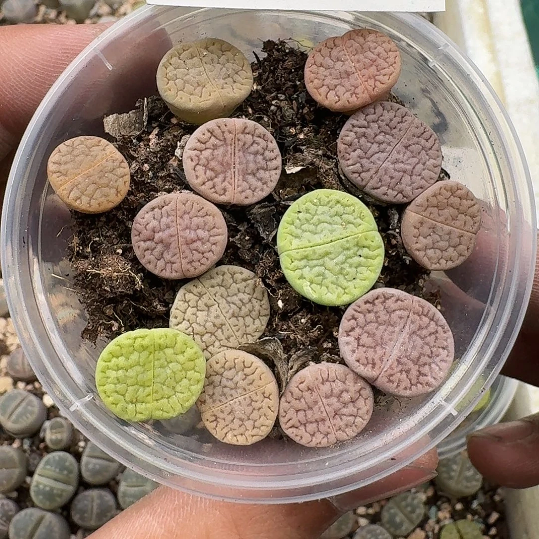 2996满18 包邮保温袋联系客服