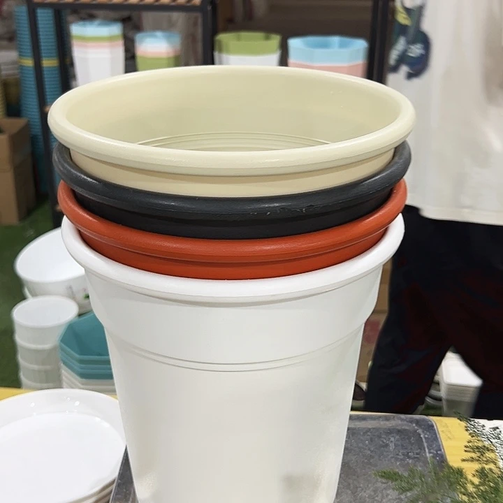 翻边口26高28混色无托4只