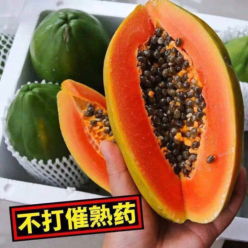 【自然熟 冰糖心木瓜】老树牛奶红心热带细腻多汁口感香甜新鲜采摘