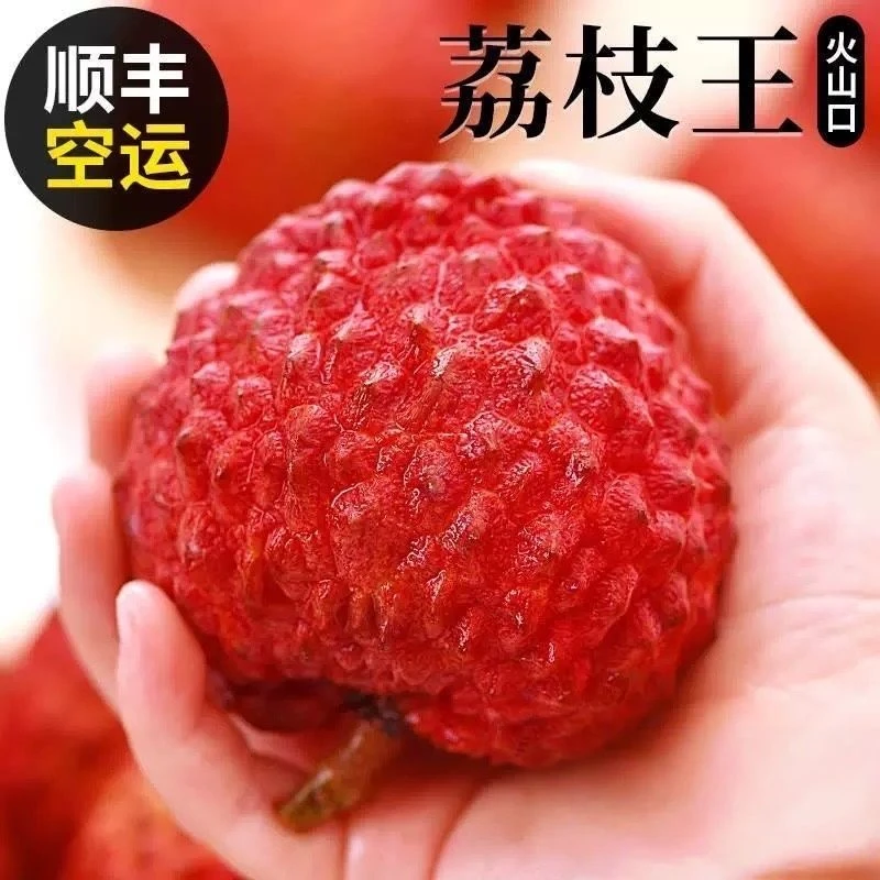 【芙芙专享】空运直达海南火山荔枝王新鲜