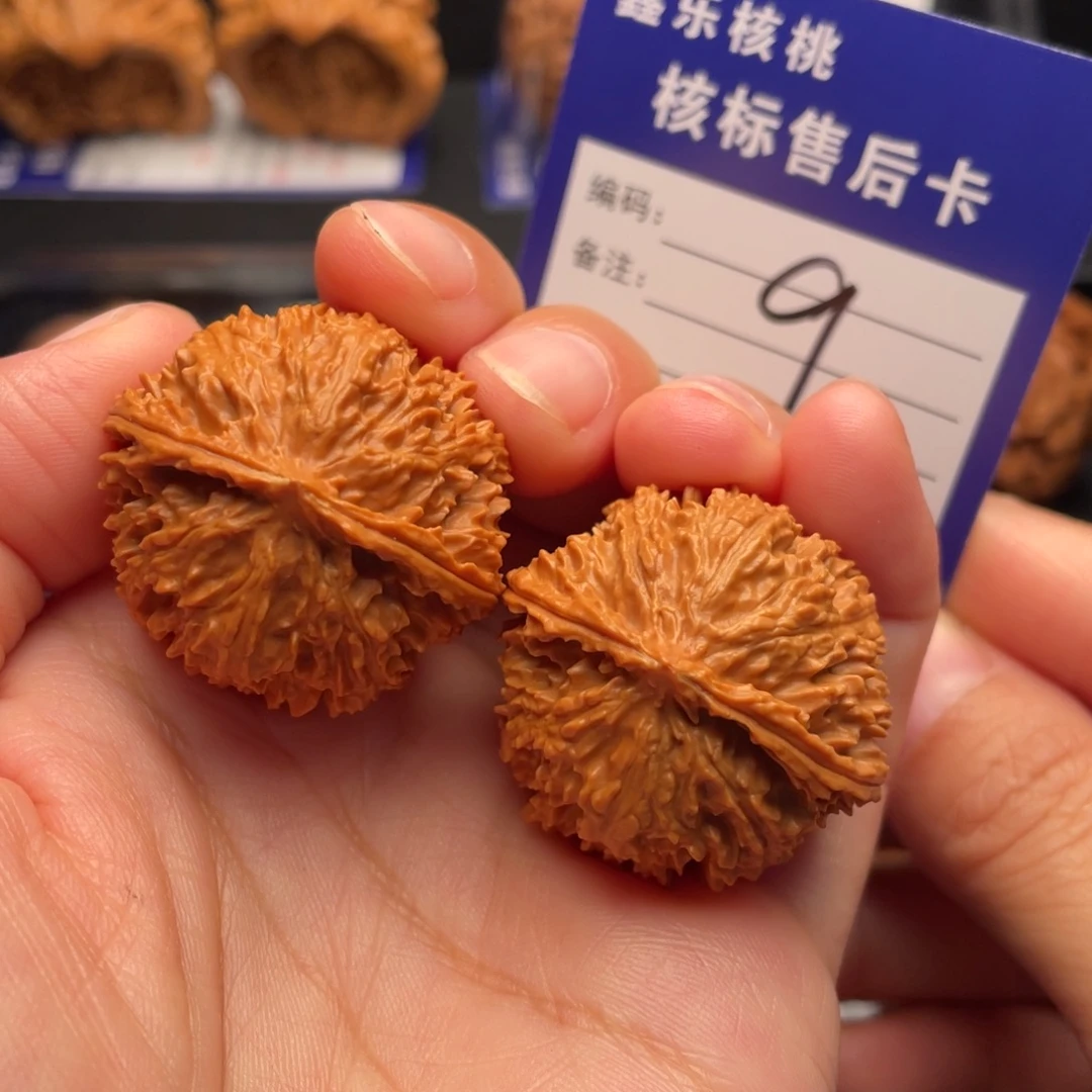 文玩核桃把件野生满天星33全品9号